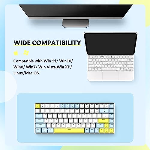 Image of LexonElec RK-84 Portable Mechanical Gaming Keyboard,Rainbow LED Backlit Compact 84 Keys Mini Wired Office Keyboard with Red Switch for Windows Laptop PC Mac-White /Blue /Orange