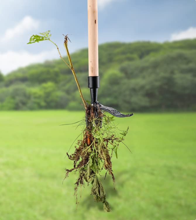 十草切立珍味入れ　　10客　新品未使用 Amazon | 高儀(Takagi) 斬丸 草刈用チップソー 230mm×58P JIS