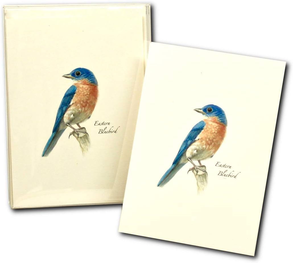 Earth Sky + Water - Bluebird Notecard Set II - 8 Blank Cards with Envelopes