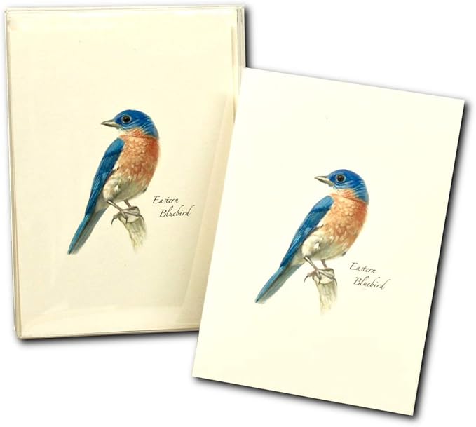 Earth Sky + Water Bluebird Notecard Set - 8 Blank Cards With Envelopes In Recycled Gift Box
