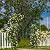 OUSHENG 7FT Garden Arch Arbor, Steel Frame Stand Trellis for Climbing Plants, Outdoor Archway Gate for Wedding Ceremony Decoration Party Vines Lawn Courtyard Patio Backyard