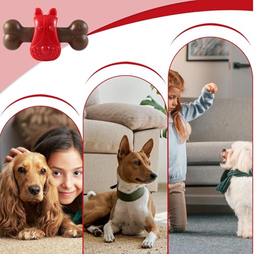 Nettoyage et entraînement du chien grâce à l'os à mâcher interactif