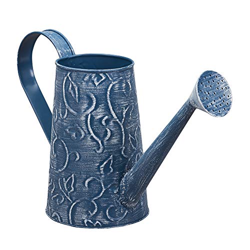 Barnyard Designs Rustic Galvanized Decorative Metal Watering Can, Vintage French Country Farmhouse Home