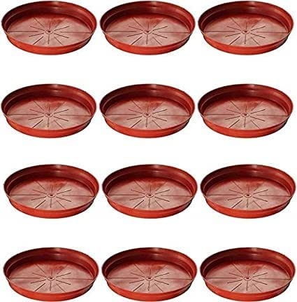 Gauris Planter Tray, Base Plate, Plastic Pot Saucer (Brown, 6-inch) - (Set of 6) (B0BY3KJ5CZ) Amazon Price History, Amazon Price Tracker