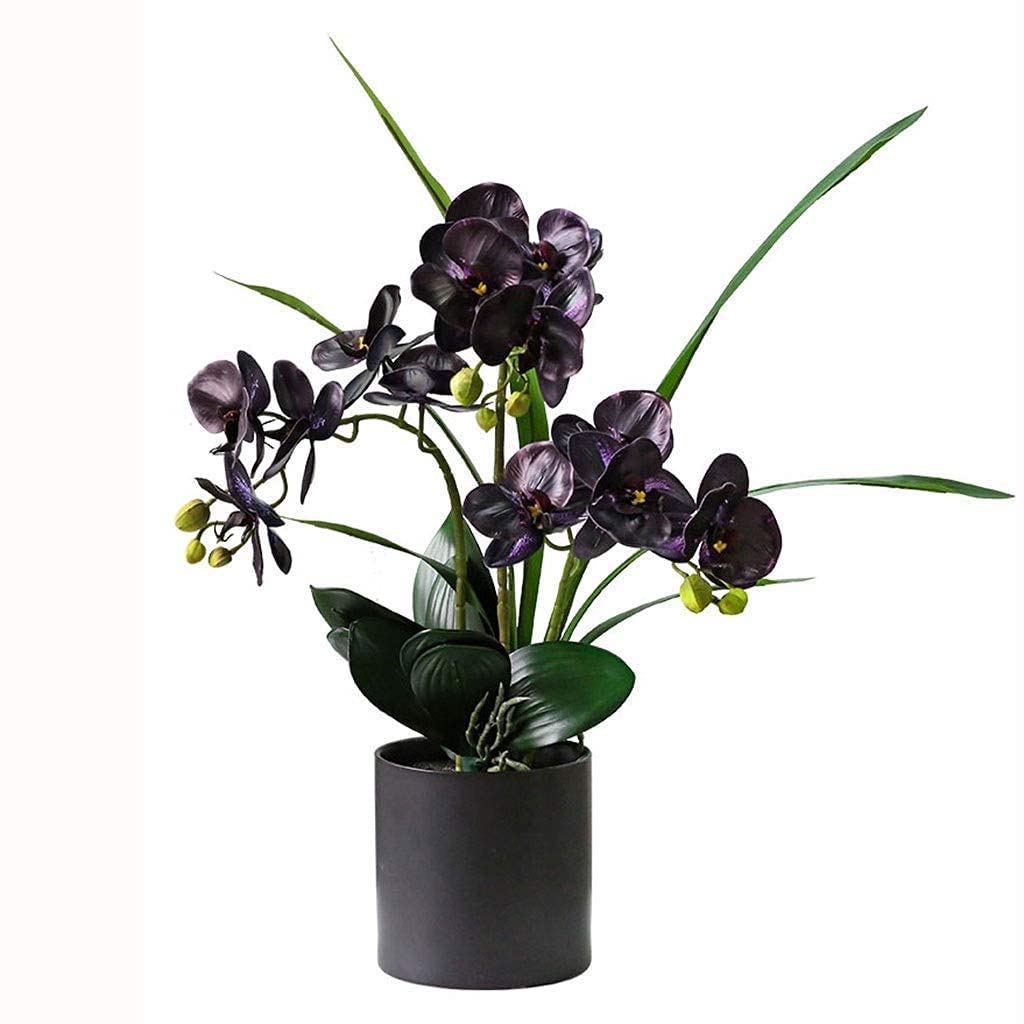 XDLEDMKIZ Artificial Flower Set, Faux Phalaenopsis Flower Arrangement, Artificial Orchid Bonsai In Pot, Artificial Flower Plant For Wedding Party Home Centerpiece Decor,Height