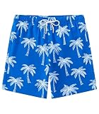 Aueyan Palm Tree Swim Trunks Boys Swim Shorts Size 14-16 Blue Bathing Suit Beach Board Shorts with Lining Pockets and Drawstring