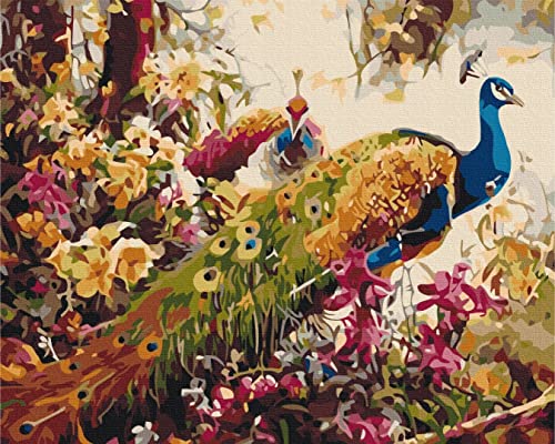 Peinture par numéros Paons en fleurs 40x50 cm pour adulte