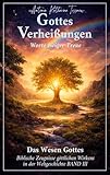 Gottes Verheißungen, Worte ewiger Treue: Das Wesen Gottes BAND III (Das Wesen Gottes - Biblische Zeugnisse göttlichen Wirkens in der Weltgeschichte)