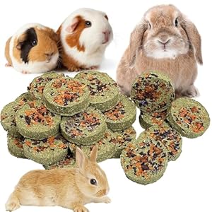 Fhiny 24 PCS Rabbit Chew Toys, Natural Timothy Hay Carrot Pumpkin Purple Potato Biscuit Cubes Bunny Chew Treats for Teeth Care Small Animals Molar Snacks for Hamster Guinea Pig Chinchilla Rat