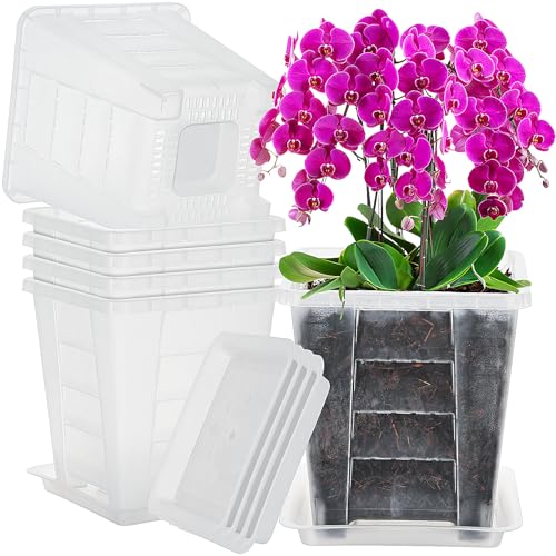 KIMERSE Indoor Square Orchid Pot, 6 Inch Clear Flower Pot 6 Pack with Trays