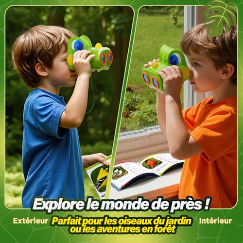 Dinosaure jumelles
