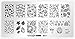 Whats Up Nails - B071 The Whole Nine Gourds Stamping Plate for Autumn Nail Art Design