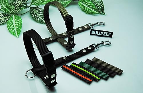Böttcher Fährtengeschirr Fester Steg, Gr.M Nylon 20mm SCHWARZ-Neonorange