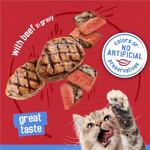 Image of Friskies Purina Shreds with Beef in Gravy Wet Cat Food - 5.5 oz. Cans (Pack of 48)