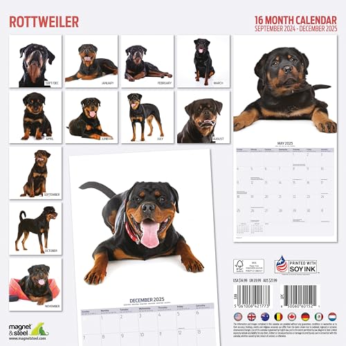Rottweiler 2025 Modern Calendar, Various - Image 2