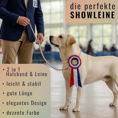 Retrieverleine 150 cm für große & kleine Hunde – Halsband mit integrierter Leine – Slip Leash & Trainingsleine Hund – Führungsleine für Labrador & Retriever - Ruckdämpfer (Taupe, ab 15 Kg)