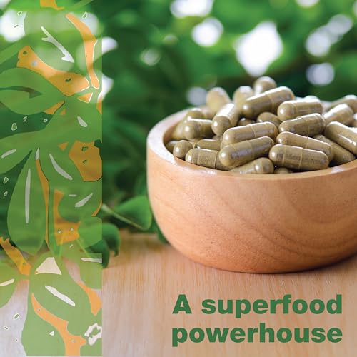 100% Baobab and Moringa Powder Superblend 300g (10.5 oz) | Direct from South Africa | USDA Organic Certified | Gut Health & Digestive Support - Image 3