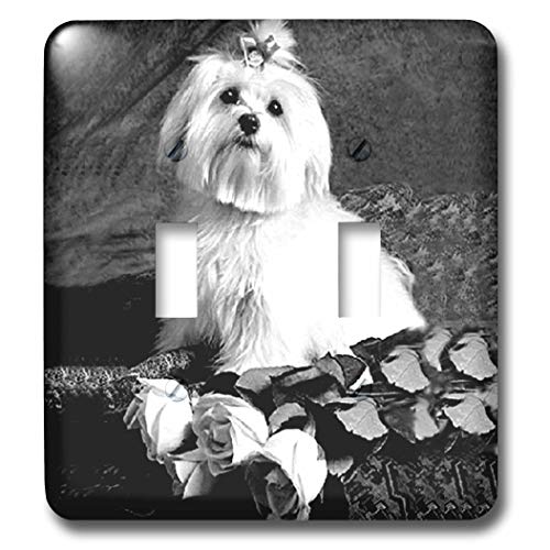 3dRose }`[Y_ugOXCb` (LSP_256_2) e