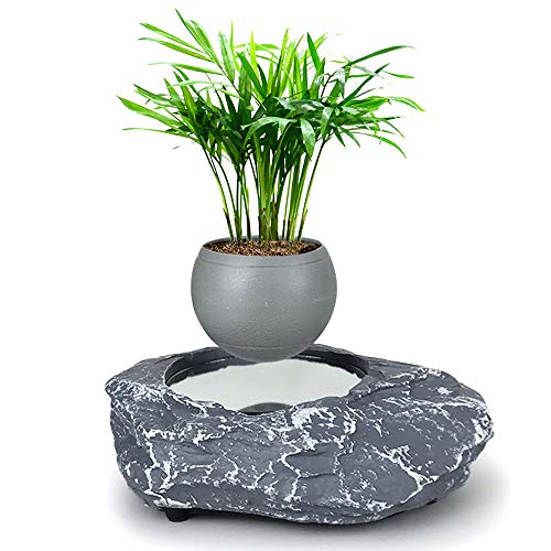 Maceta De Bonsai De Aire De LevitacióN MagnéTica, DecoracióN De Esc