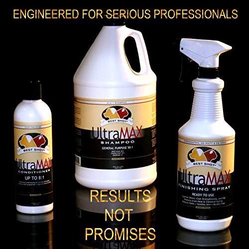 Best Shot UltraMAX Pro Finishing Spray, 17 oz - Image 4
