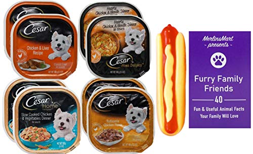 Cesar Chicken Dog Food 4 Flavor 8 Can Variety (2) Each: Chicken Liver, Chicken Noodle, Chicken Vegetables, Rotisserie Chicken (3.5 Ounces) - Plus Squeak Toy and Fun Facts Booklet Bundle