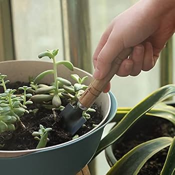 4 Pcs Set Mini Gardening Tools Shovel Spade Succulents In Flowerpot Claw Garden Tools With Handles,Bonsai Tools,Mini Gardening Tools,Gardening Tool Set