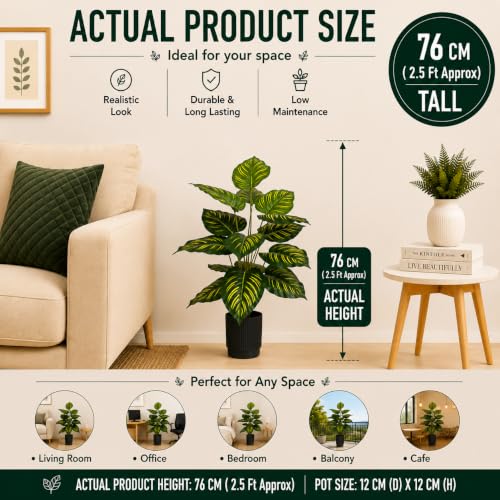 Image of Cocco.BUA Artificial Plant with Black Pot, 18 Leaves, 76 CM (2.5 Feet) (Calathea Plant)