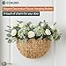 Coeusy Scalloped Wall Basket,Boho Wall Decor Basket,Big Wicker Hanging Baskets for Nursery,Door,Plants,Mail,Natural Water Hyacinth