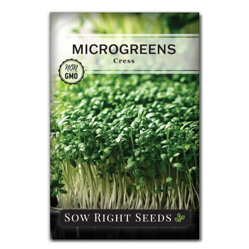 Sow Right Seeds - Cress Microgreen Seed For Growing - Instructions To Quickly Grow Your Own Delicious And Healthy Microgreens - Plant Indoors With No Special Equipment - Minimum Of 12G Per Packet (About 4800 Seeds) #TOP6