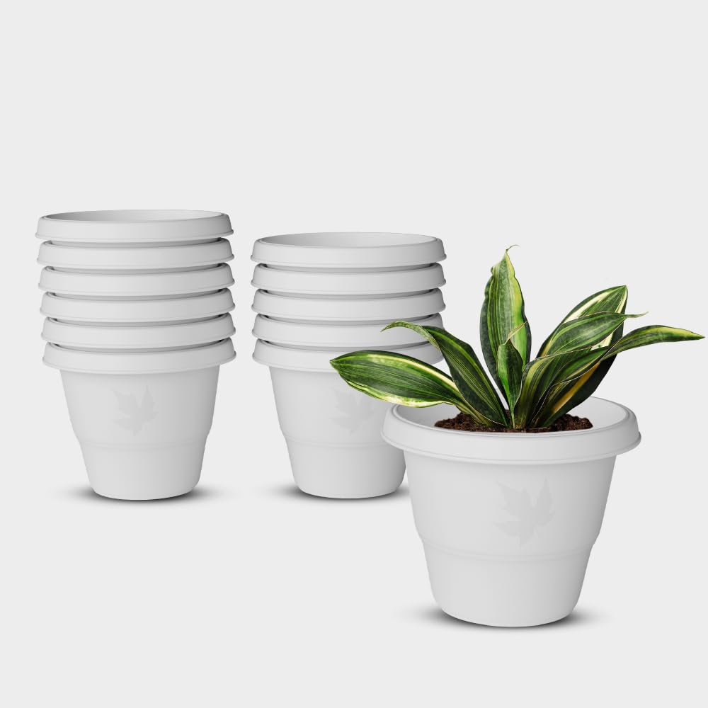 YUCCABE Italia Shera Flower Pots - Set of 3 -13 YUCCABE Italia Shera Flower Pots - Set of 3 -13