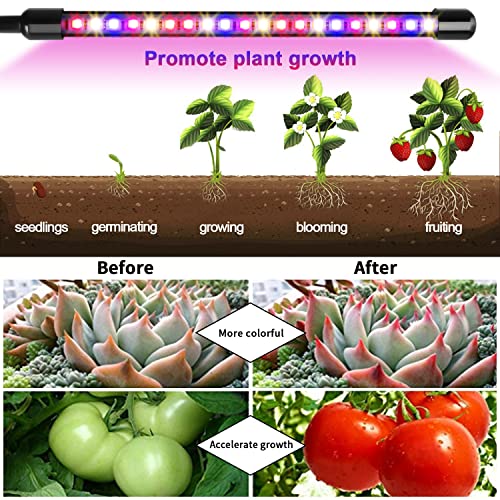 Image of Grow Lights for Indoor Plants, Garpsen Grow Light with Red Blue Full Spectrum, 2 Heads Clip 40 LEDs Plant Light for Indoor Plants, 3 Switch Modes & Auto ON /Off, 6 12 16H Timer, 5 Dimmable Levels