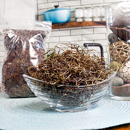 NW Wholesaler Brown Natural Dyed, Dried Preserved Spanish Moss - 2 oz - Indoor Outdoor for Potted Plants, Vase Fillers, Terrariums, Fairy Gardens, Arts and...
