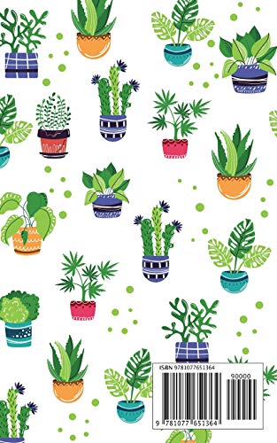 Planner 2019-2020 Academic Year: 5x8 Weekly and Monthly Organizer Small from July 2019 to June 2020 | Home Plant Cactus Design White image 4