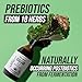 Flora Biome - Live Probiotic, Prebiotic, & Postbiotic – Organic Live-Culture – 10 Probiotic Strains, 18 Fermented Herbs - Complete Gut Health & Microbiome Optimizer (16 oz)
