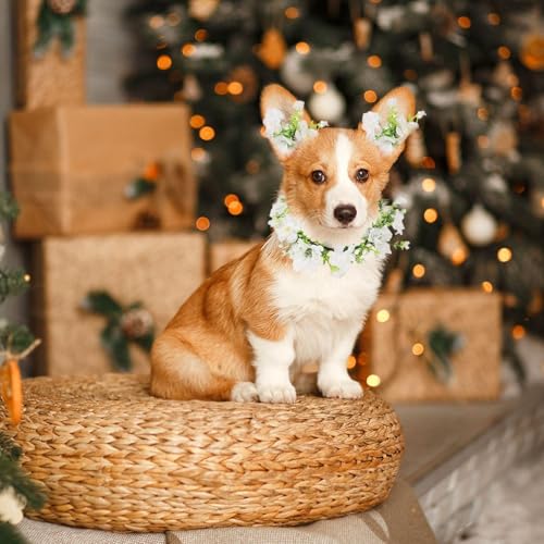 YSJCHEBS 1 Stück Haustier-Girlande, 1 Stück Haustier-Armband, Haustier-Hochzeits-Blumenhalsband, Haustier-Blumen-Fliege, Hunde-Hochzeits-Blumenkrone, Foto-Requisiten-Girlande