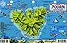 Moorea French Polynesia Map & Reef Creatures Guide Franko Maps Laminated Fish Card