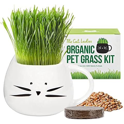 The Cat Ladies Organic Cat Grass for Indoor Cats - Growing Kit with Organic Seed Mix, Soil and White Cat Planter. Natural Hairball Control and Digestion Remedy, Cat Gifts Cover