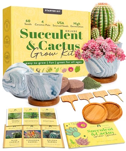 Succulent & Cactus Grow Kit – Complete Plant Gift Set with 4 Ceramic Pots & Trays, 6 Seed Packs (3 Cactus, 3 Succulent), Plant Markers, Peat Pellets, Nutrients & Guide – Ideal Holiday & Birthday Gift