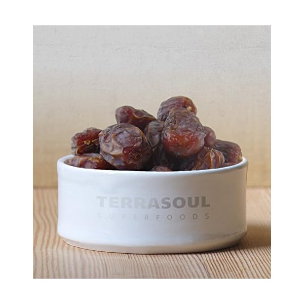 Terrasoul Superfoods Organic Medjool Dates, 2 Lbs - Soft Chewy Texture | Sweet Caramel Flavor | Farm Fresh