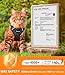 Halypet Cat Harness and Leash Set [ MAX Safety Third Generation ] Escape Proof Soft Adjustable Cat Leash Breathable Comfortable Vest Easy to Wear Kitten Harness for Outdoor Walking Black