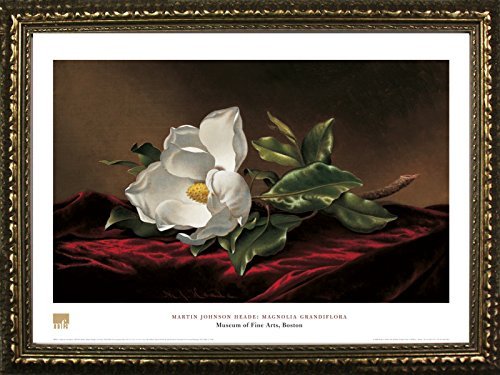BuyartforlessFRAMED Magnolia Grandiflora by Martin Johnson Heade 20x28 Art Print Poster Floral Painting White Flower From Museum of Fine Arts Boston Collection