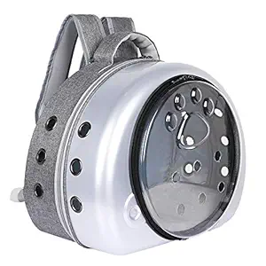 PetGains PGJA Transparent Fashionable Pet Carrier (33 cm x 28 cm x 35 cm) ? Silver