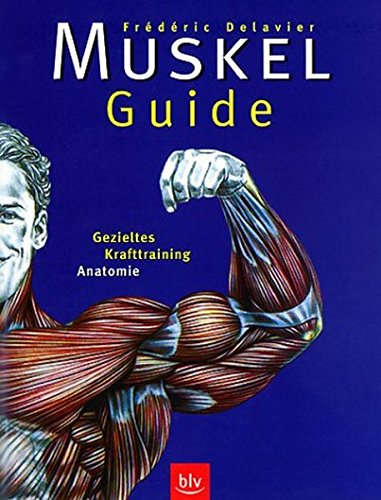 Muskel-Guide. Gezieltes Krafttraining - Anatomie