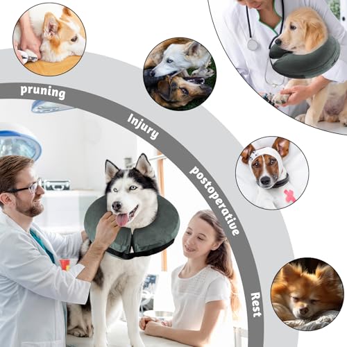 panemy Aufblasbare Halskrause Hund & Halskrause Katze, Halskrause Hund mit Verstellbarem Klettverschluss, Hunde Halskrause für Operationen oder Wundheilung, Anti-Beißen, Anti-Lecken (Grau, XS)