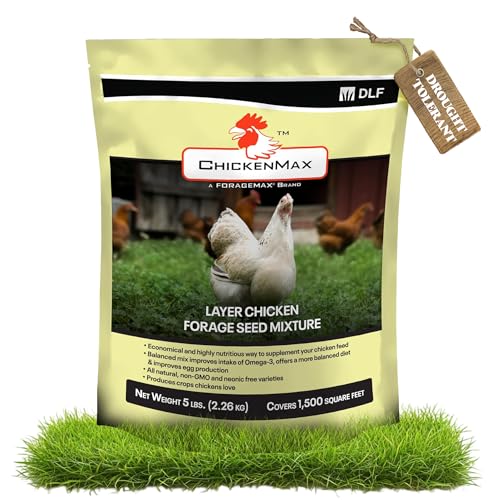 DLF Chicken Max Forage Seed Mixture for Chickens Poultry and Farms Layer Mix with Clover Ryegrass Buckwheat and Flax High-Protein Feed for Laying Hens Chicks and Coops 5LB Bag