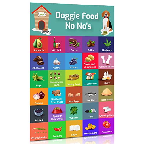 List of 30 Toxic Foods for Dogs | Easy to ...