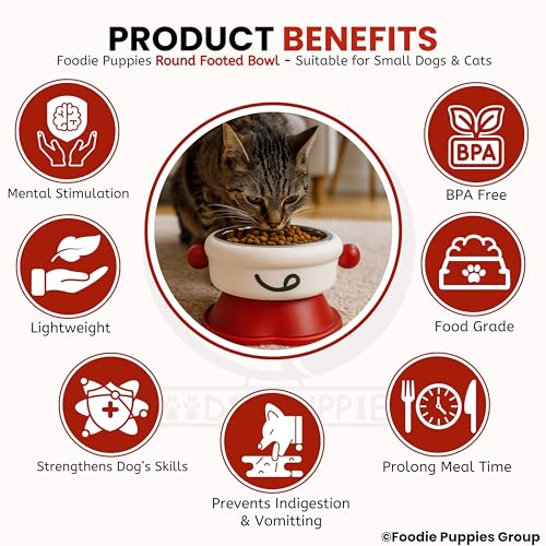 Image of Foodie Puppies Pet Elevated Cat Bowl - (Fun Face Round Bowl) | Detachable Stainless Steel Raised Bowl for Food & Water Feeding | Durable, Anti-Vomiting, Mess-Free Feeder for Cats, Kittens & Puppies