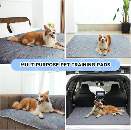 Image of Sunheir Washable Pee Pads for Dogs Large 24 inch x 72 inch 2-Pack Reusable Puppy Pads Pet Training Pads, Absorb Dog Mats, Whelping Pad, Non-Slip Protects Against Urine Leakage,Runner Rug (Leaves - Light Grey)