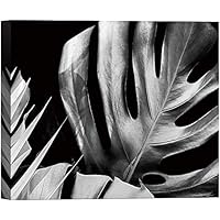 SIGNWIN Canvas Wall Art Tropical Fern Leaves Foliage Botanical Plants Photography Realism Modern Closeup Dramatic Black and White for Living Room, Bedroom, Office - 12x18 inches