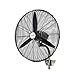 Ventilatore Elettrico ad Alta Potenza Industriale, Ventilatore da Parete ad Alto Volume d'Aria Ventilatore a Tromba a Parete per Magazzino di Piante all'aperto (Dimensioni: 75 cm)